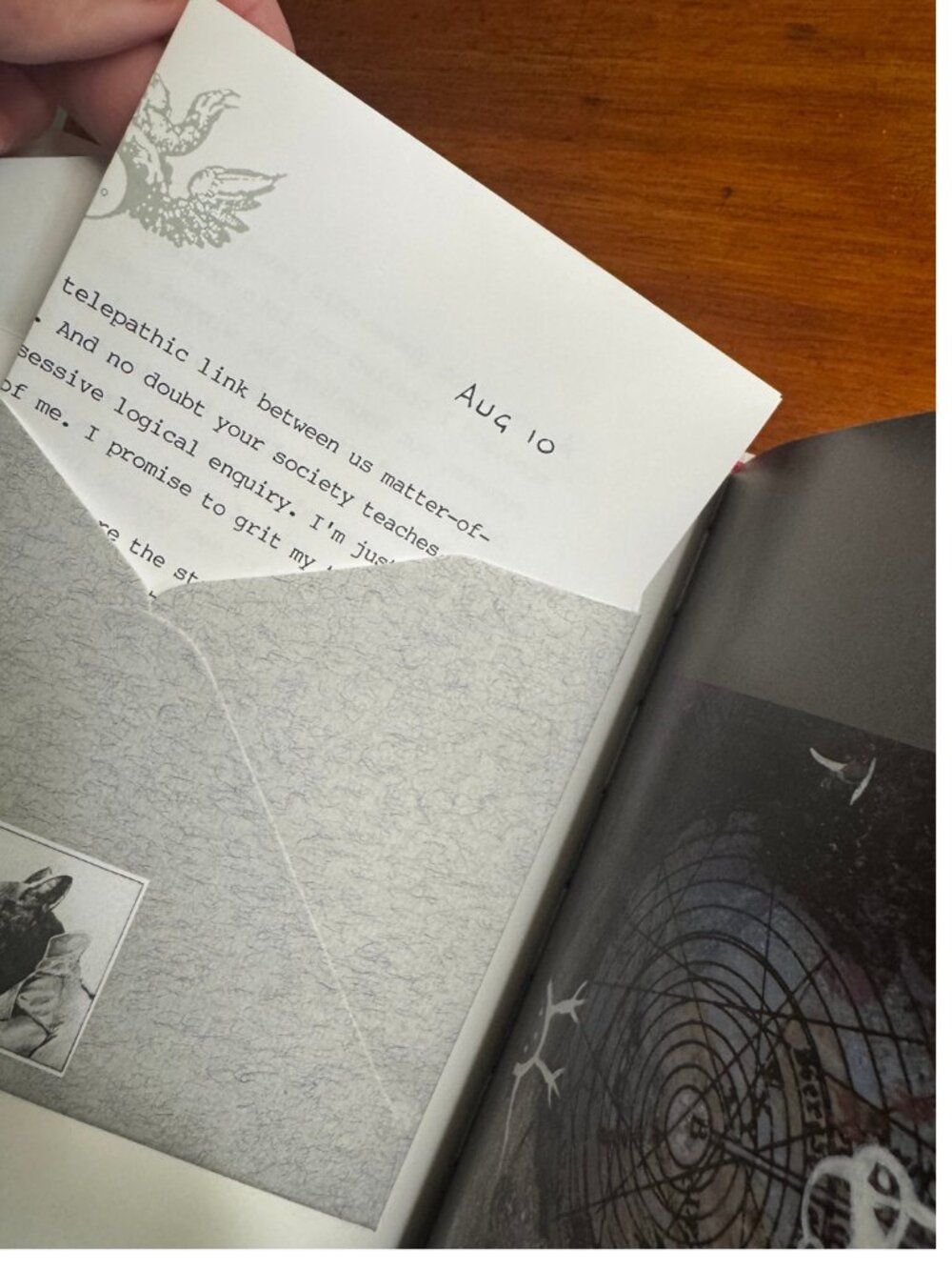 Griffin & Sabine Nick Bantock Hardcover 1991 | Extraordinary Correspondence - Picture 6 of 6